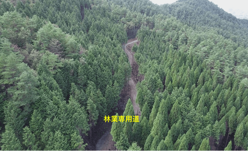 林業専用道及び森林作業道と利用間伐地